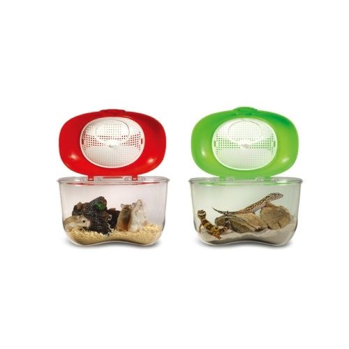 ISTA - Modern Pet Box
