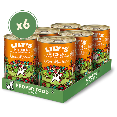 Lily's Kitchen Dog Lean Machine Tin, 6x400 g