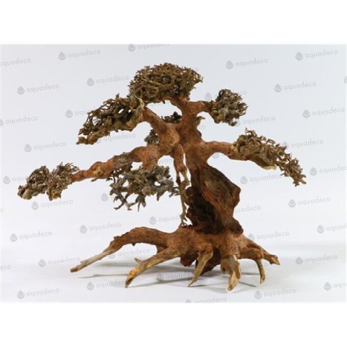 Lemn Aquadeco Aqua-Bonsai L 30-40 cm