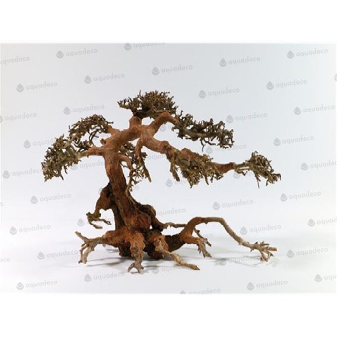 Lemn Aquadeco Aqua-Bonsai M 23-30 cm
