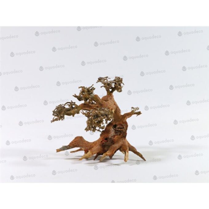 Lemn Aquadeco Aqua-Bonsai S 15-20 cm
