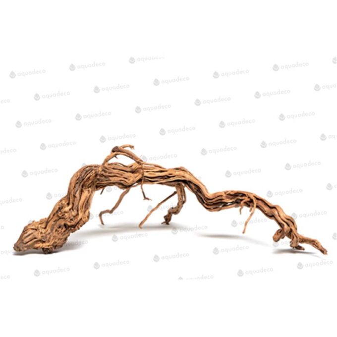 Lemn Aquadeco Curl Wood S 30-59 cm 1 Lemn Aquadeco Curl Wood S 30-59 cm
