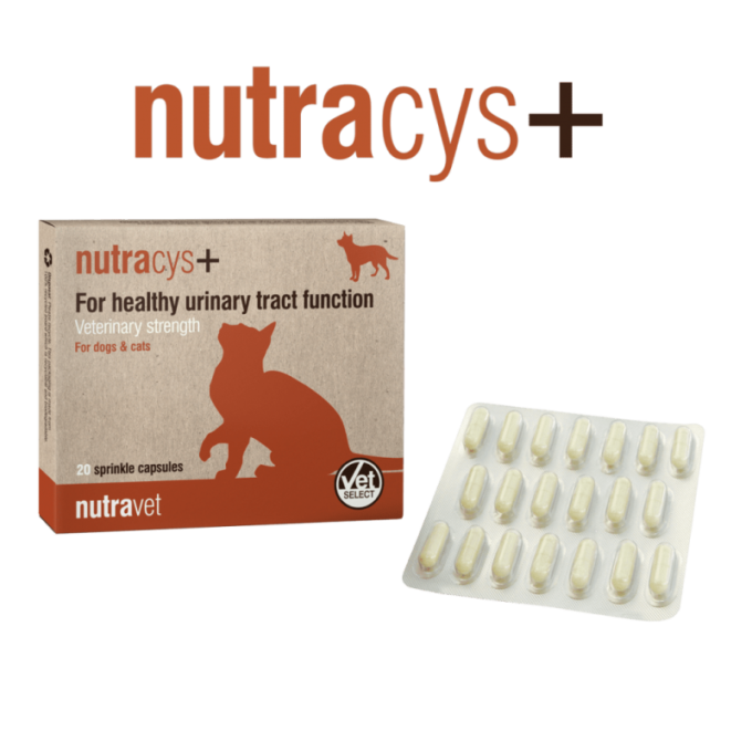 Nutravet Nutracys+, Caini & Pisici, 20 capsule 1 Nutravet Nutracys+, Caini & Pisici, 20 capsule