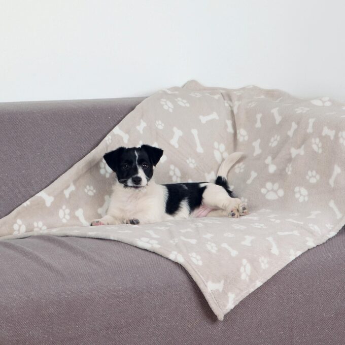 Patura Kenny 100x150 cm Bej 37167 1 Patura Kenny 100x150 cm Bej 37167