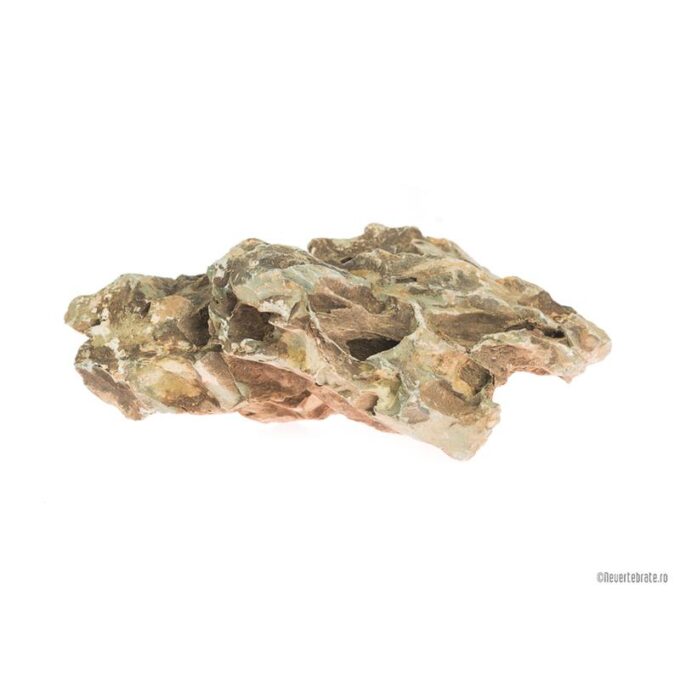 Piatra Dragon Stone L 4.5-5.5 kg