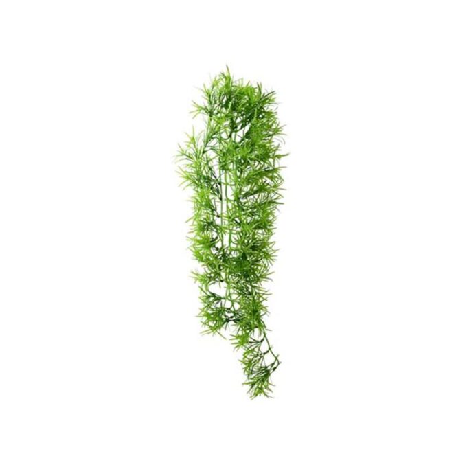 Planta artificiala Hobby Climber Tropica