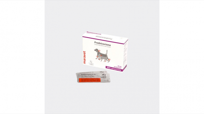Prednicortone 20 mg, 250 tablete