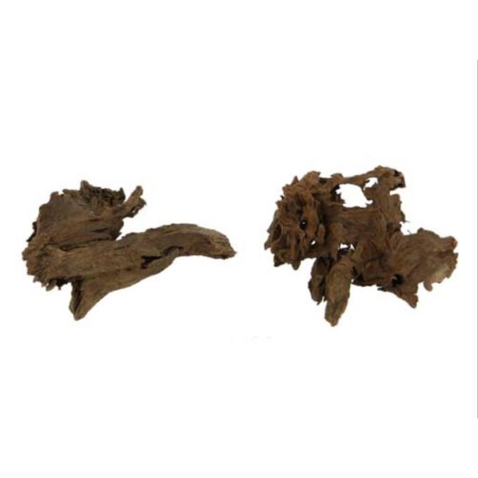 Radacina de mangrove Hobby XS 12-16 cm 1 Radacina de mangrove Hobby XS 12-16 cm