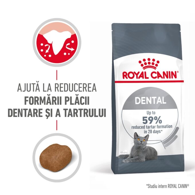 Royal Canin Oral Care Adult hrana uscata pisica, reducerea formarii tartrului, 8 kg 1 Royal Canin Oral Care Adult hrana uscata pisica, reducerea formarii tartrului, 8 kg