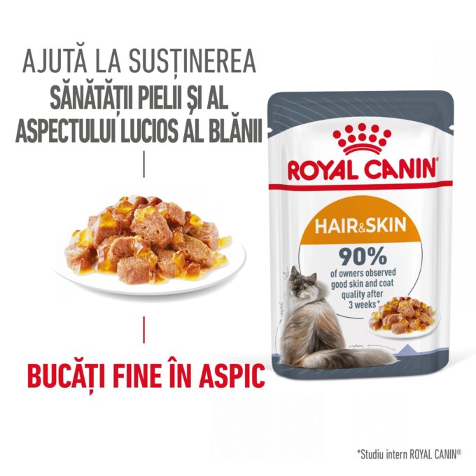 Royal Canin Hair&Skin Care Adult hrana umeda pisica, piele si blana (in aspic), 12 x 85 g