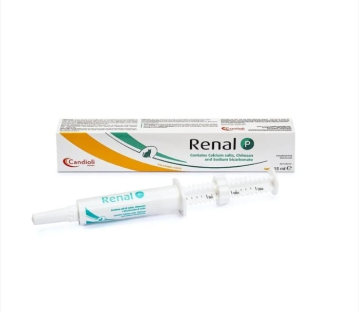 RENAL P paste 15 ML