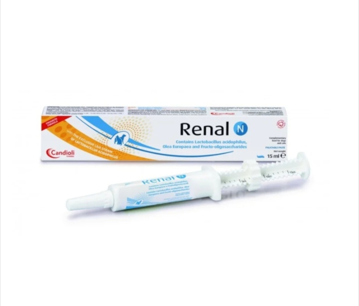 RENAL N paste 15 ML