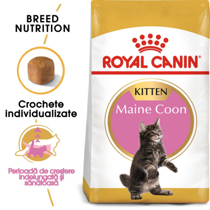 Royal Canin Maine Coon Kitten, 2 kg 1 Royal Canin Maine Coon Kitten, 2 kg