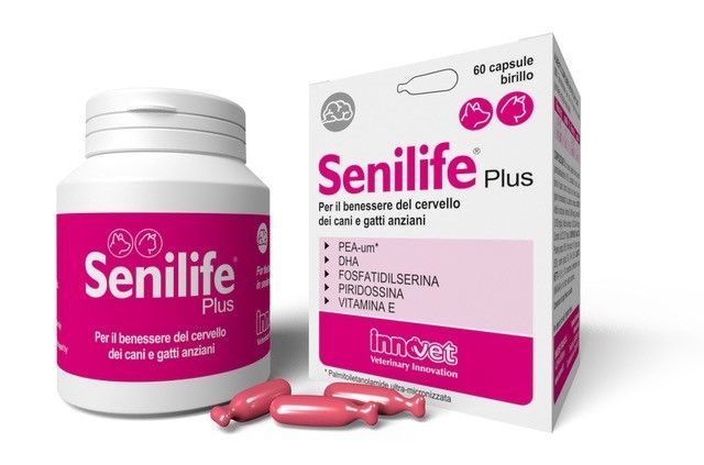 Senilife Plus, 60 capsule 1 Senilife Plus, 60 capsule