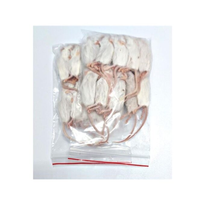 Soareci congelati mici Mouse small +/- 10-15 gr 15 buc