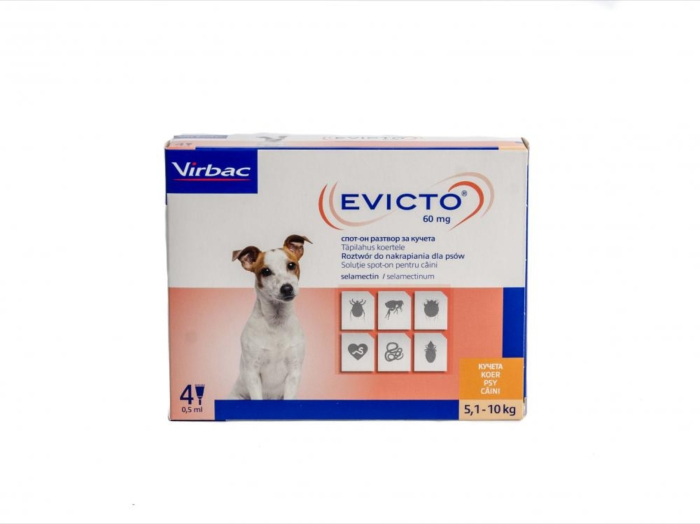 Evicto caini 60mg 5-10 kg x 4 pipete