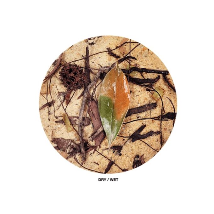 Substrat decorativ acvariu sau terariu WIO Everglades 2 Kg