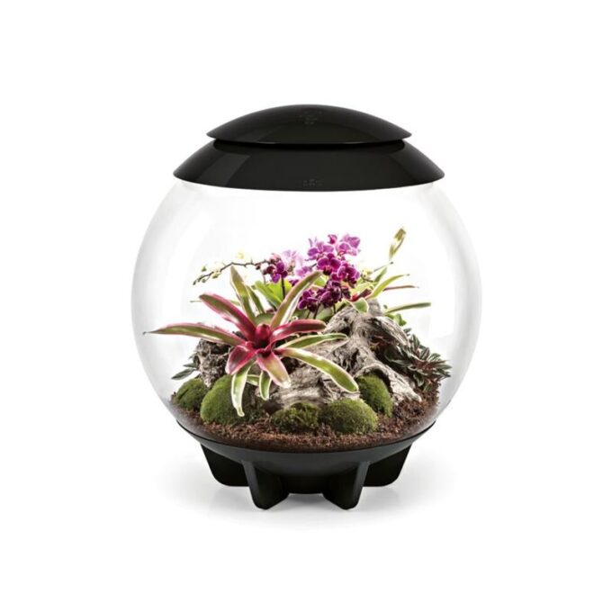 Terariu Oase biOrb AIR 60 negru