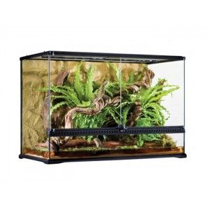 Terariu Sticla Hagen Exo Terra