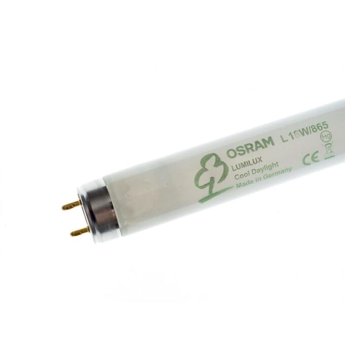 Tub Neon T8 Osram Lumilux 865 - 36W