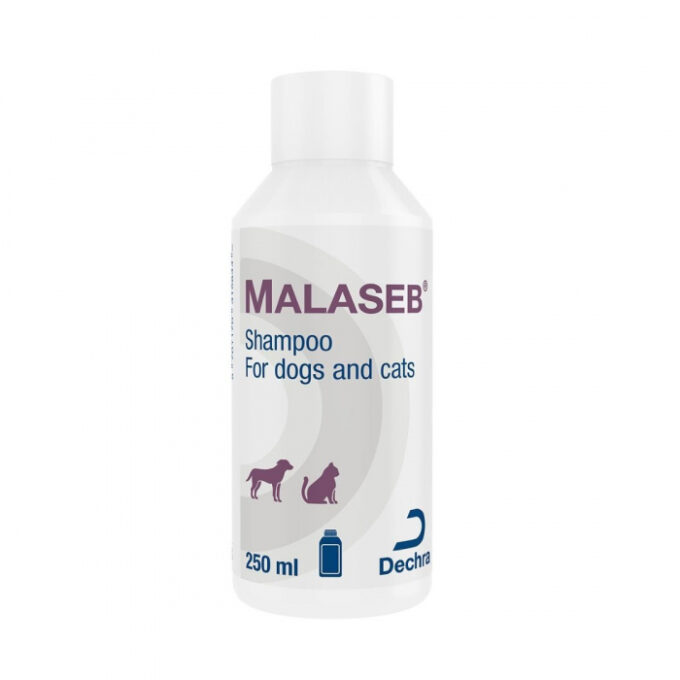 Malaseb sampon dermatologic caini si pisici, 250 ml 1 Malaseb sampon dermatologic caini si pisici, 250 ml