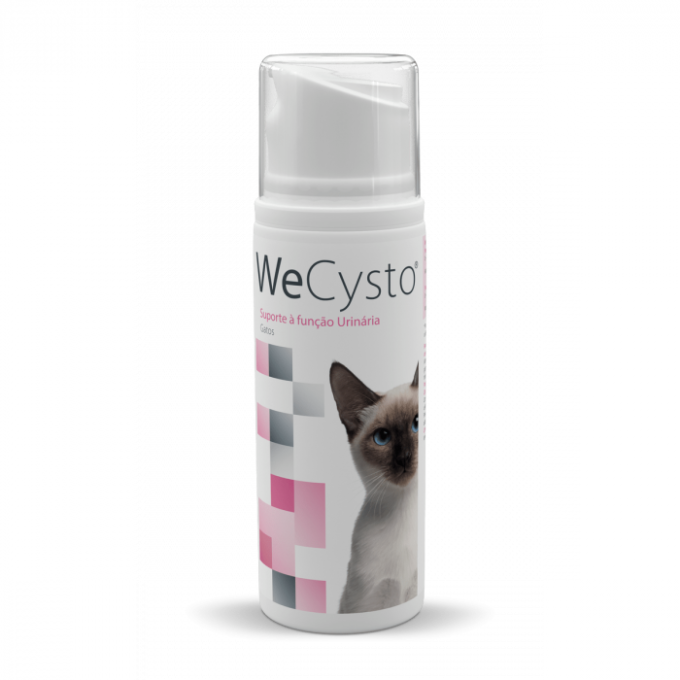 WECYSTO supliment nutritiv pentru a sustine functia urinara, 100 ML