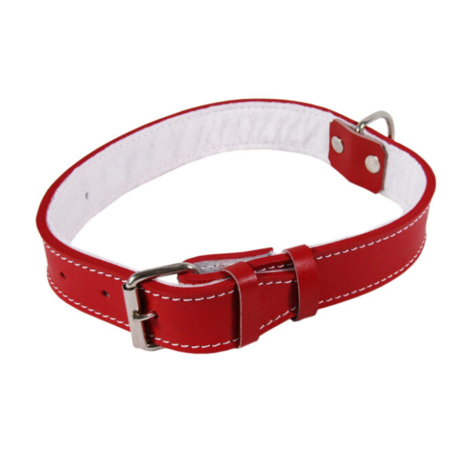 Zgarda Piele Tip 22 (50 Cm 22 Mm) Cu Pasla - Rosu