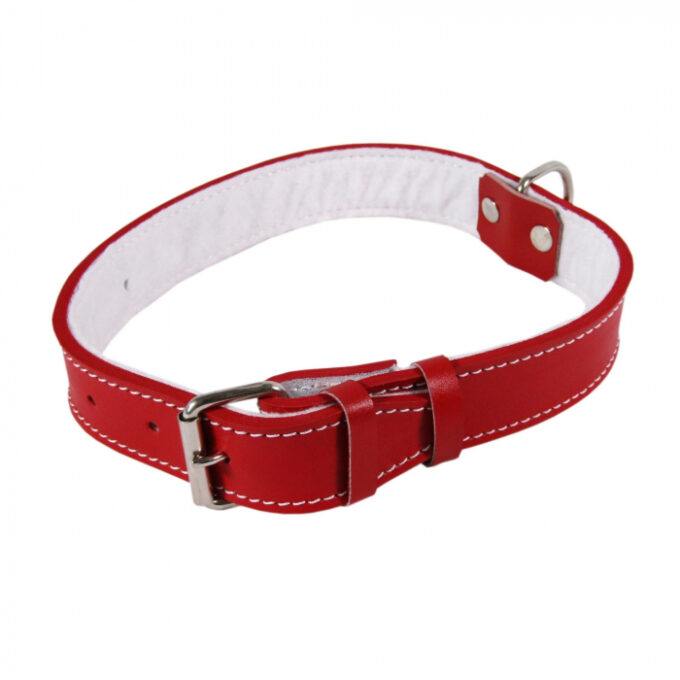 Zgarda Piele Tip 14 (36 cm  14 mm) Cu Pasla - Rosu